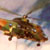helico_m_16_th.jpg